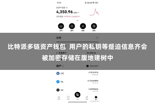 比特派多链资产钱包 用户的私钥等蹙迫信息齐会被加密存储在腹地建树中
