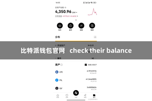 比特派钱包官网   check their balance