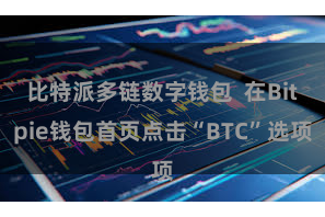 比特派多链数字钱包  在Bitpie钱包首页点击“BTC”选项
