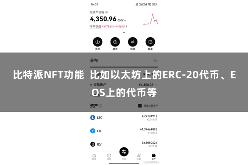 比特派NFT功能  比如以太坊上的ERC-20代币、EOS上的代币等