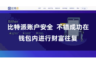 比特派账户安全 不错成功在钱包内进行财富往复