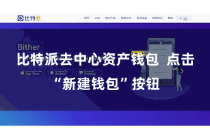 比特派去中心资产钱包 点击“新建钱包”按钮