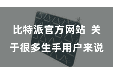 比特派官方网站  关于很多生手用户来说