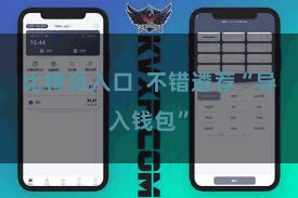 比特派入口  不错遴荐“导入钱包”